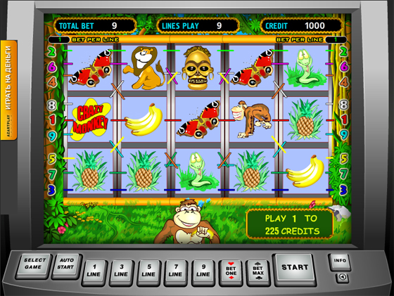 игра Crazy Monkey